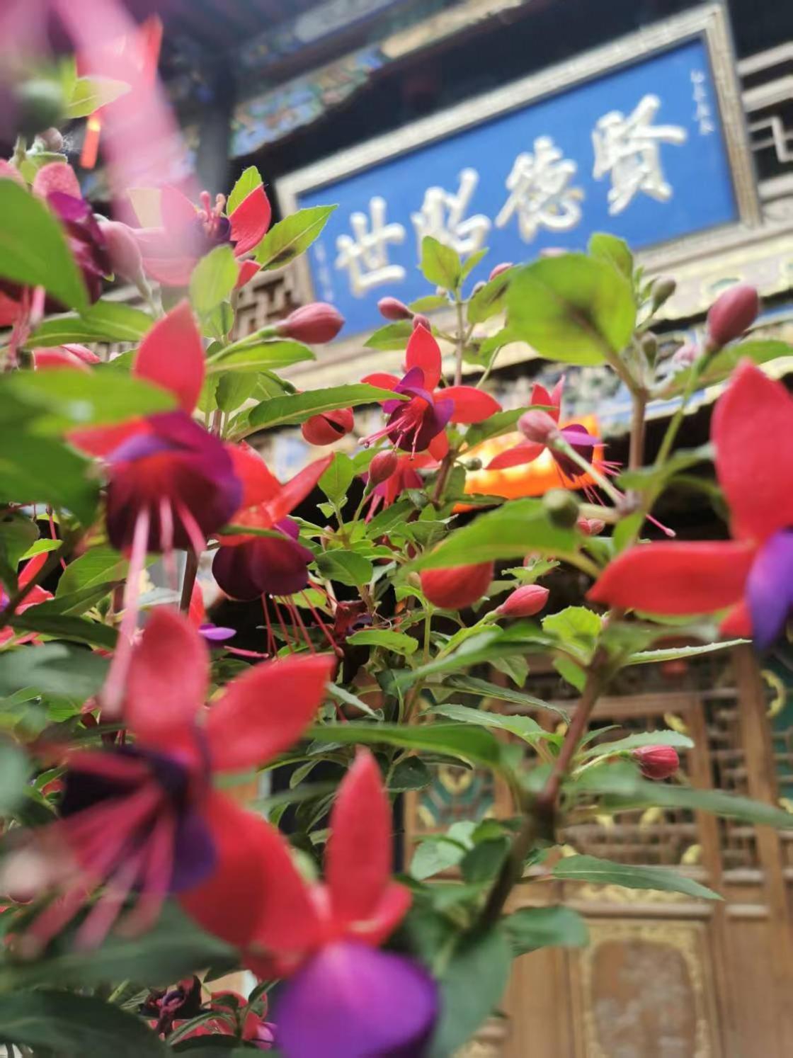 Pingyao Hu Lu Wa Home Inn Buitenkant foto